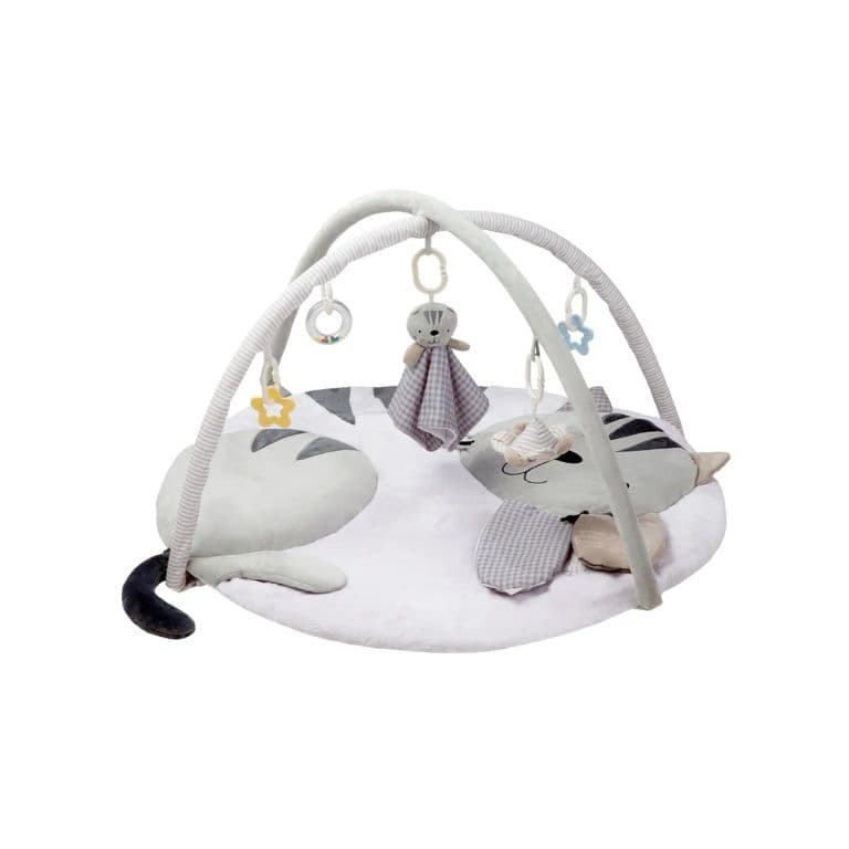 Gimnasio Didactico Gatito