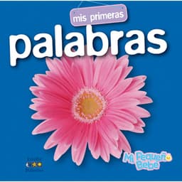 Mis Primeras Palabras (Mi Pequeno Bebe)