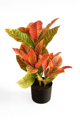 Planta Artificial Maceta Croton 55 CM