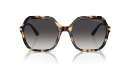 Lentes de Sol Havana Degradados Eyewear Marron M