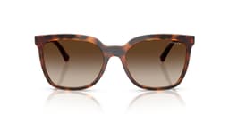 Lentes de Sol Havana Degradados Eyewear Marron M