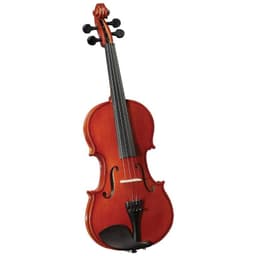 Violin Novice Outfit 1/8 HV-100