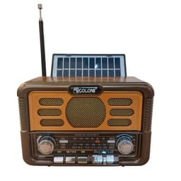 Radio Solar Con Bateria Incorporada Bluetooth
