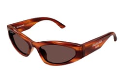 Lentes de Sol Marron Marron M