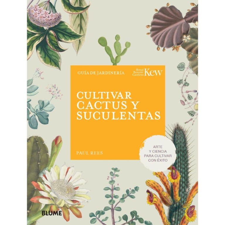 Cultivar cactus y suculentas