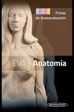 Libro Eva. Anatomia Fichas De Autoevaluacion