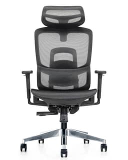 Silla Gerencial Premium de Oficina Delizia Gris claro