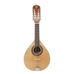 Mandolina 12 Cuerdas M12-STG