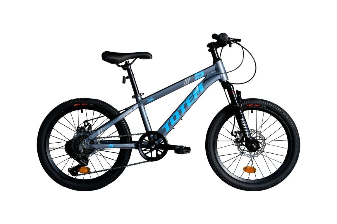 BICICLETA MTB ARO 20 MODELO SAILING GRIS Gris XS