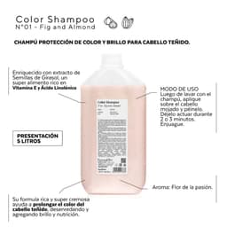 Color Shampoo Nro 01 Leche de almendras e higos 5000 Ml 5 LT