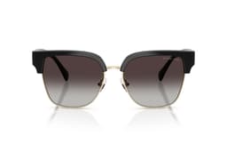 Lentes de Sol St. Eustatius Negro Degradados Negro M