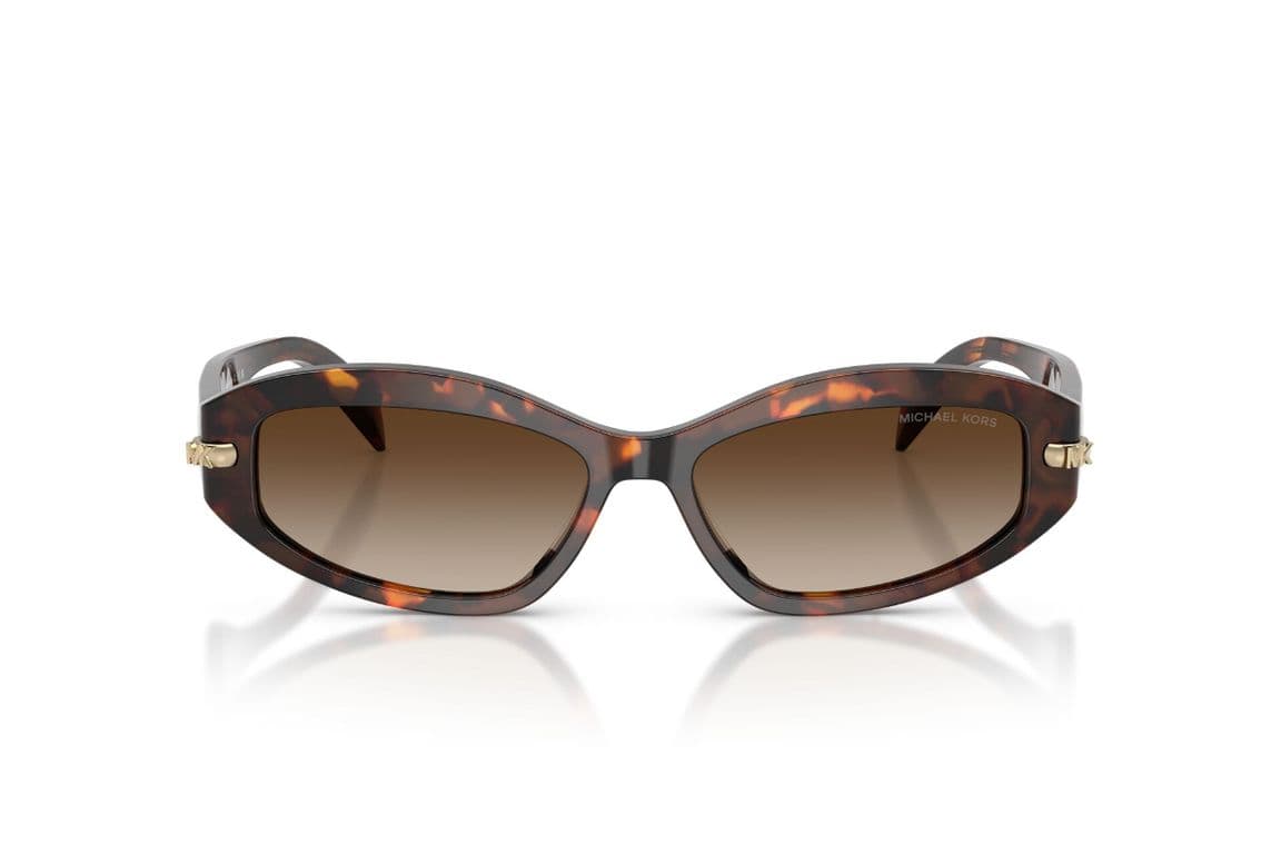 Lentes de Sol Wilmington Havana Degradados Marron M