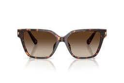Lentes de Sol Piedmont Havana Degradados Marron M