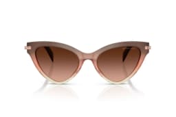 Lentes de Sol Roanoke Rosado Degradados Rosa M