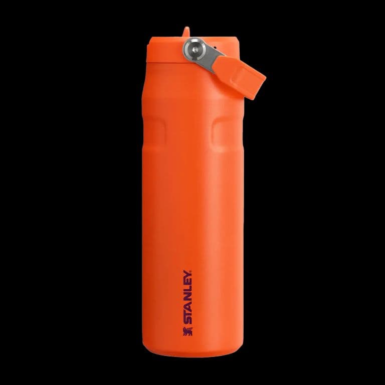 Botella Termica Flip Straw Aerolight Tigerlily Plum - 710 ml