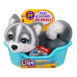 Cachorro Mini Husky Aurora
