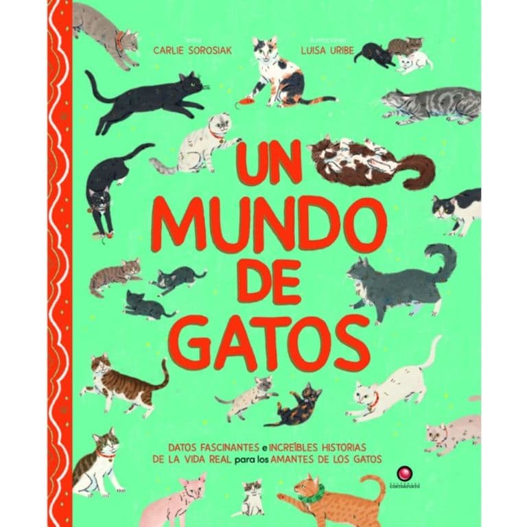 Un mundo de gatos de