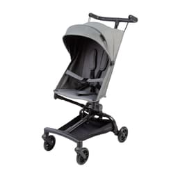 Coche Buggy Gris Lobo