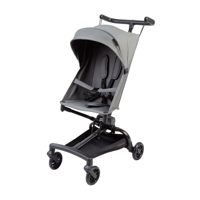 Coche Buggy Gris Lobo