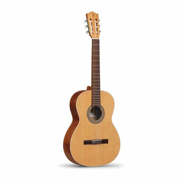 Guitarra Clasica Z Nature+Funda 4/4 10 Mm