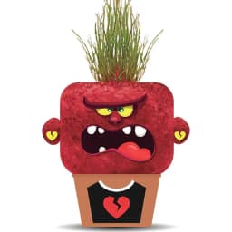 Plant Pals - Angry Annie