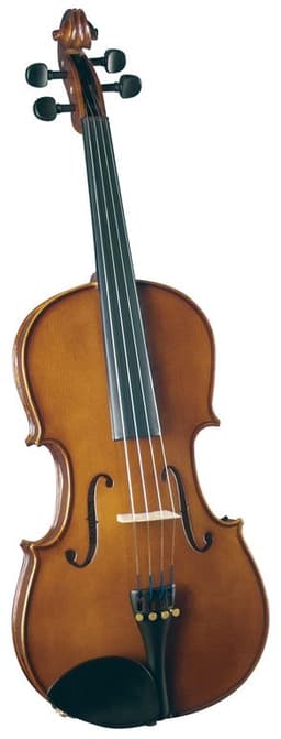 Viola Outfit 14'' SVA-100