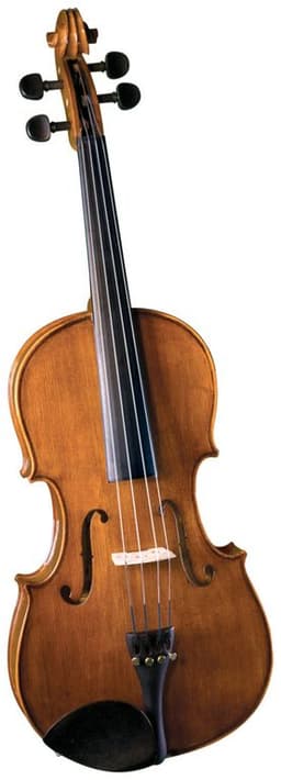 Viola Outfit 15'' SVA-175