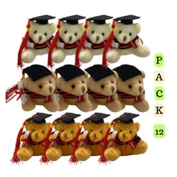 Pack 12 Ositos Surtidos Graduacion Obsequio Regalo