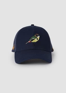 Jockey Trucker Siete Colores Azul Azul 1