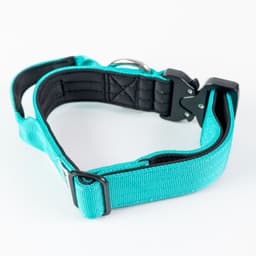 Collar Combat 4 cm para Perros Turquoise L