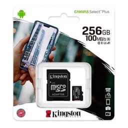 Memoria Micro SD De 256gb Clase 10 Full Hd 100mb/s