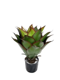 Agave de 56 cm UV Artificial - Estilo Natural para Interiores y Vitrinas