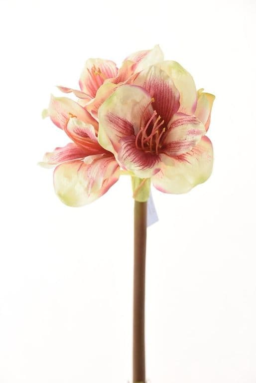 Amaryllis Rosa/Blanca 68cm Artificial - Estilo Natural para Interiores y Vitrinas