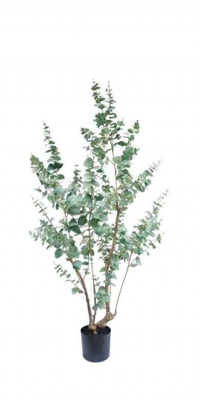 Arbol Artificial Eucalipto 180cm Artificial - Estilo Natural para Interiores y Vitrinas