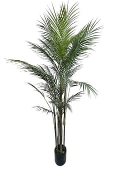 Areca Hoja Fina 183 cm Artificial - Estilo Natural para Interiores y Vitrinas