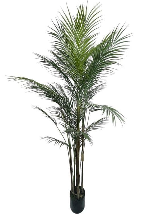 Areca Hoja Fina 183 cm Artificial - Estilo Natural para Interiores y Vitrinas