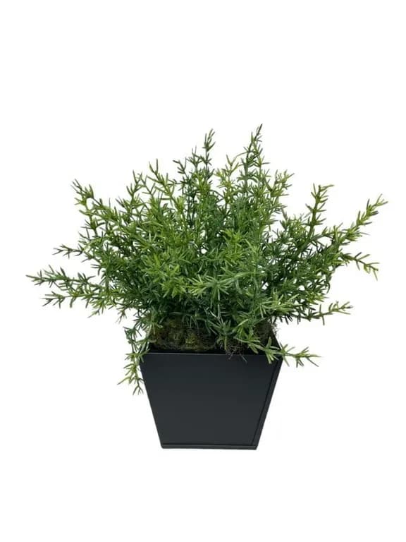 Arreglo De Arbusto Romero 35cm Artificial - Estilo Natural para Interiores y Vitrinas