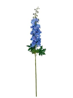 Delphinium Azul/Lila 94cm Artificial - Estilo Natural para Interiores y Vitrinas