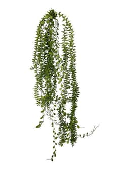 Helecho Colgante de Hoja Mini Artificial - Estilo Natural para Interiores y Vitrinas