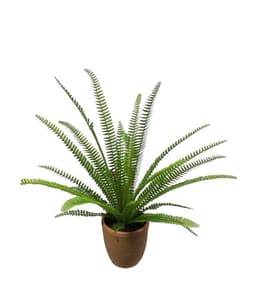 Helecho Espada Artificial 61cm Artificial - Estilo Natural para Interiores y Vitrinas