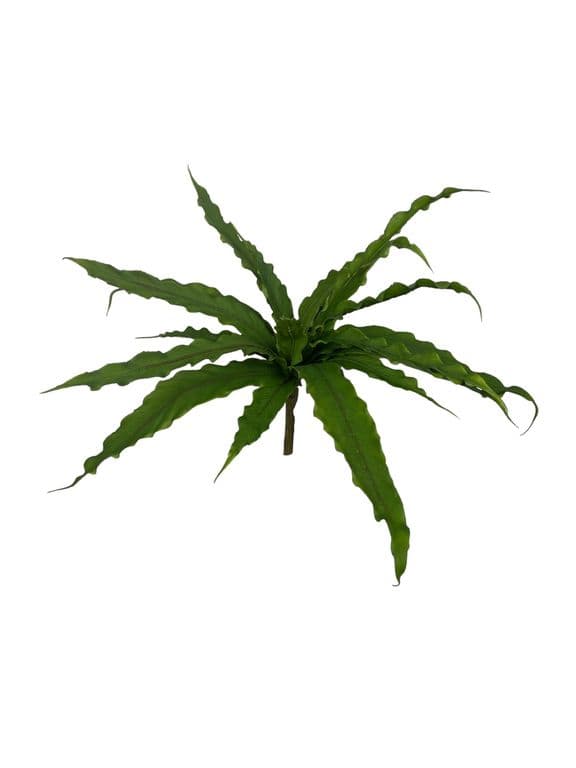Helecho Nido de Pajaro 22cm Artificial - Estilo Natural para Interiores y Vitrinas