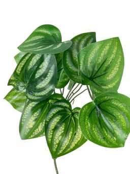 Hoja de Sandia 30cm Artificial - Estilo Natural para Interiores y Vitrinas