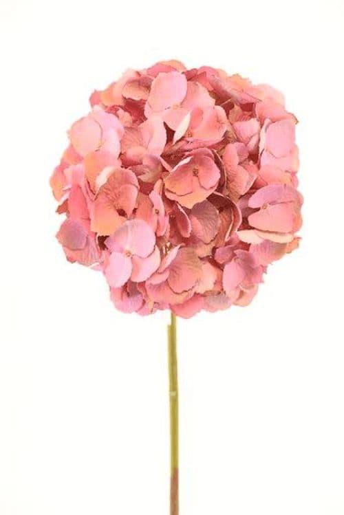 Hortensia Rosada 50cm Artificial - Estilo Natural para Interiores y Vitrinas