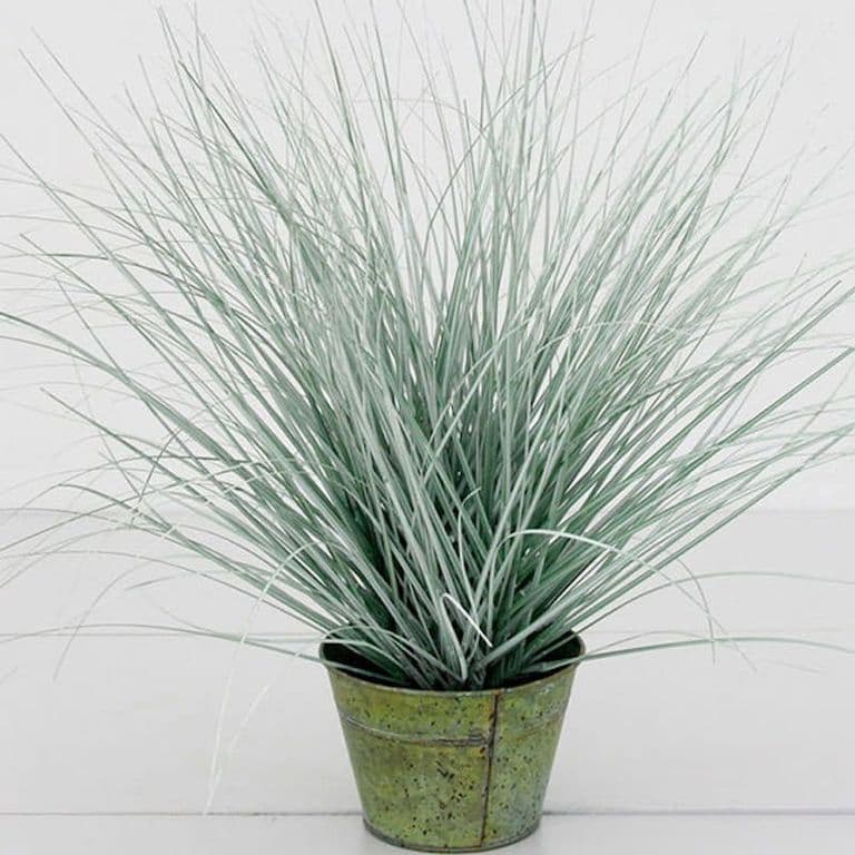 Pasto Con Caida Verde/Cafe 72cm Artificial - Estilo Natural para Interiores y Vitrinas