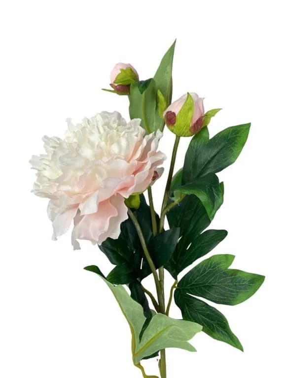 Peonia Grande Con Boton 84cm Artificial - Estilo Natural para Interiores y Vitrinas
