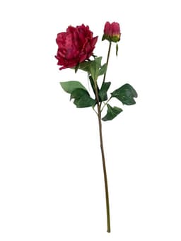 Peonia Roja con Boton 61 cm Artificial - Estilo Natural para Interiores y Vitrinas