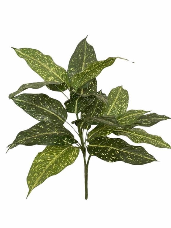 Rama Artificial Acuba 55cm Artificial - Estilo Natural para Interiores y Vitrinas