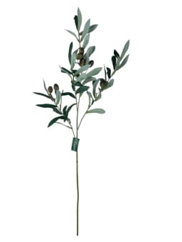 Rama Artificial de Olivo 74 cm Artificial - Estilo Natural para Interiores y Vitrinas