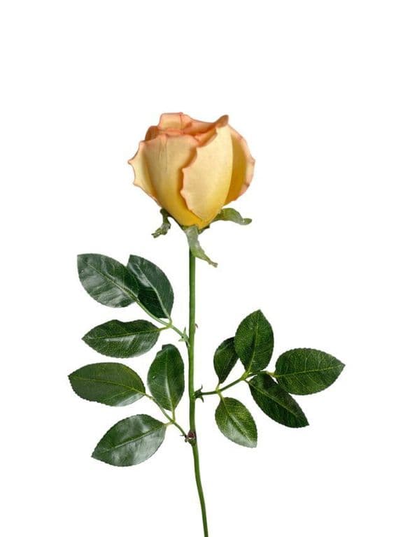 Rosa Mauve-Salmon 75cm Artificial - Estilo Natural para Interiores y Vitrinas