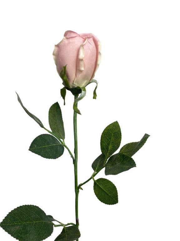 Rosa Rosada 75cm Artificial - Estilo Natural para Interiores y Vitrinas